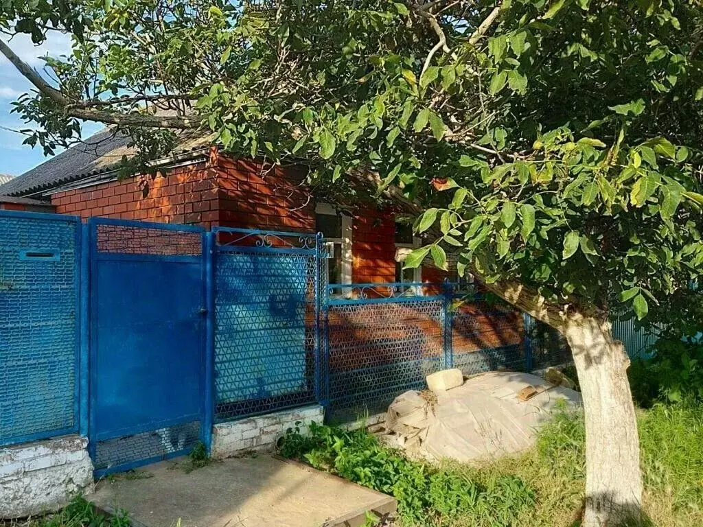 Дом в Краснодарский край, Темрюк ул. Декабристов, 30 (35 м) - Фото 1