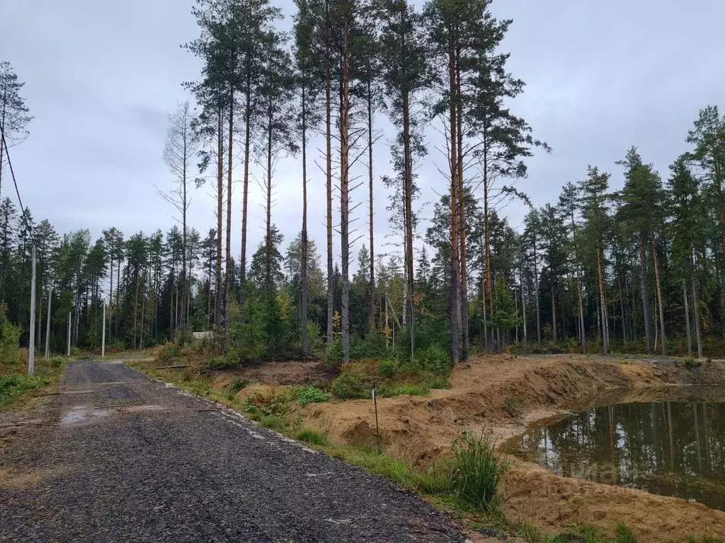 Участок в Московская область, Богородский городской округ, Восточная ... - Фото 1