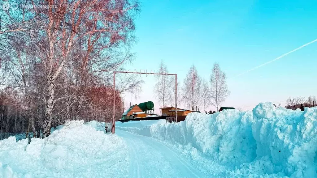 Участок в Новосибирская область, Коченёвский муниципальный район, НСТ ... - Фото 2