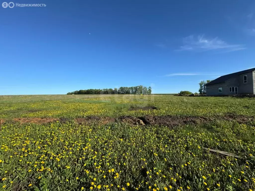 Участок в Республика Мордовия, городской округ Саранск, посёлок ... - Фото 1