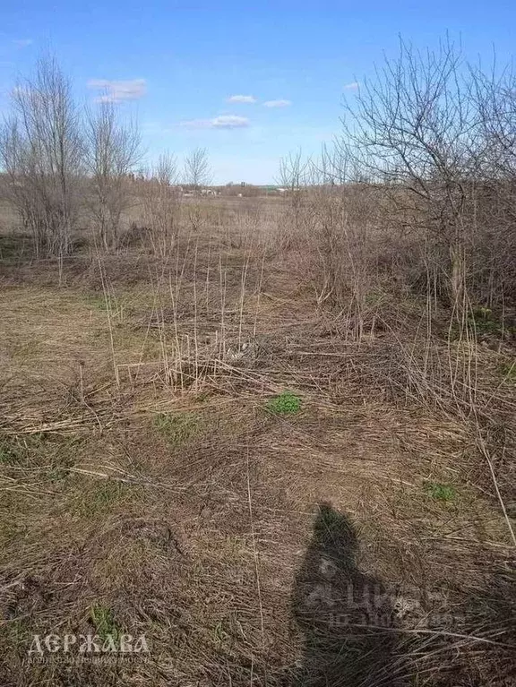 Дом в Белгородская область, Старооскольский городской округ, с. ... - Фото 2