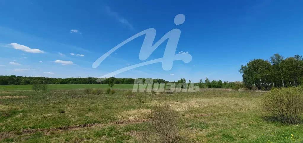 Продается участок в д. Веселево - Фото 0