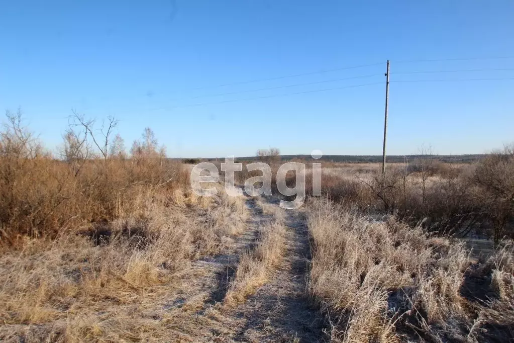 Участок в Свердловская область, Тугулымский городской округ, пос. ... - Фото 0