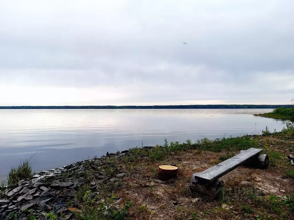 Участок в Карелия, Прионежский район, Шуйское с/пос, Жилой массив ... - Фото 1