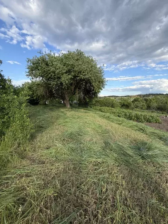 Участок в Белгородская область, Яковлевский муниципальный округ, с. ... - Фото 1