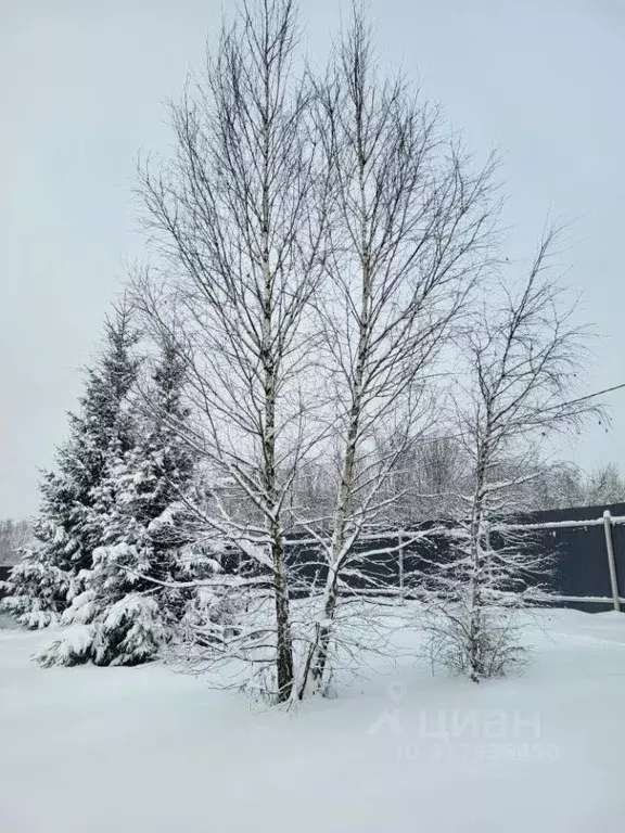 Дом в Московская область, Наро-Фоминский городской округ, с. Каменское ... - Фото 2