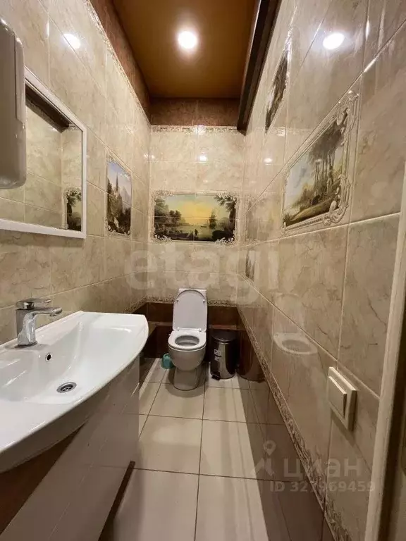 Помещение свободного назначения в Ставропольский край, Михайловск ... - Фото 2