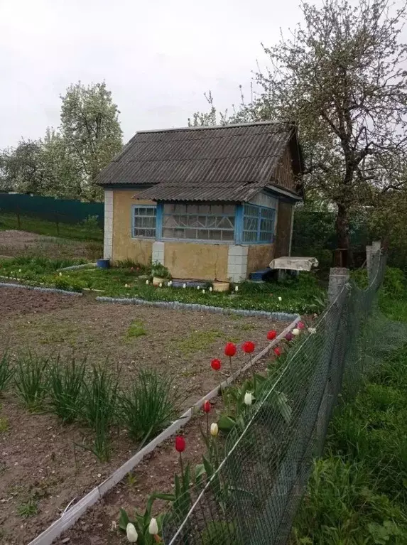 Дом в Брянская область, Фокино Мичуринец-1 садоводческое товарищество, ... - Фото 0