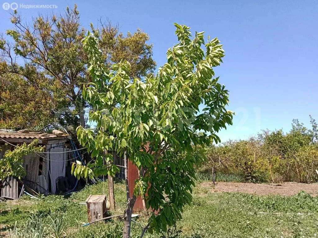 Дом в Вересаево, Целинная улица, 43 (72.1 м) - Фото 2