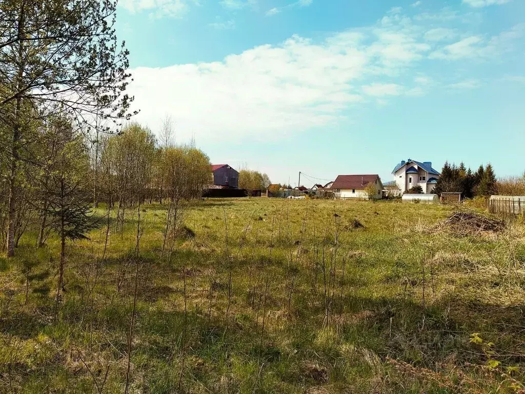 Участок в Ленинградская область, Лужский район, Заклинское с/пос, д. ... - Фото 2