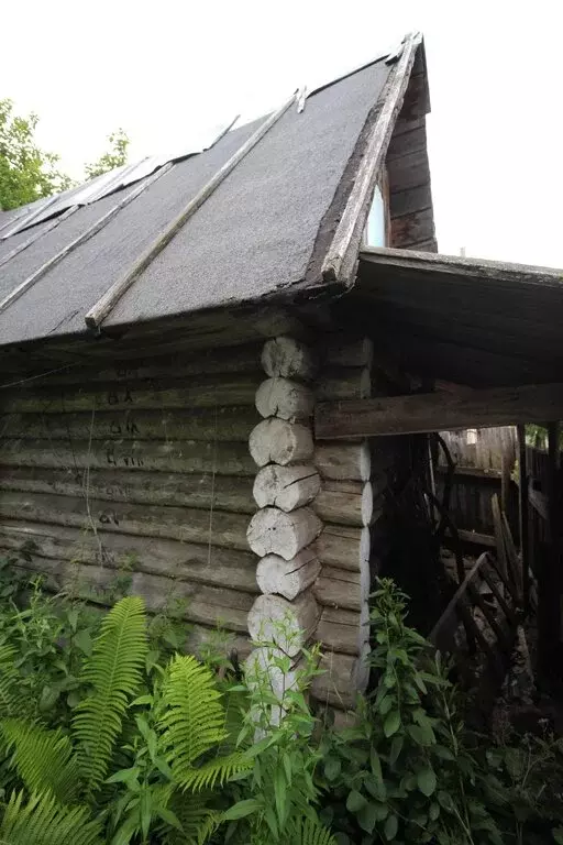 Дом в Киров, СДТ Садовод-любитель-ТЭЦ5 (30 м) - Фото 1