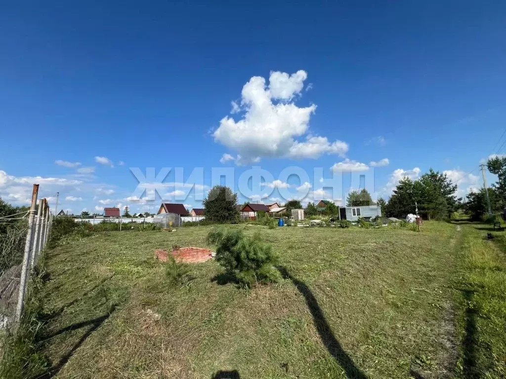 Участок в Новосибирская область, Бердск Росинка СНТ, ул. 18-я (5.0 ... - Фото 0