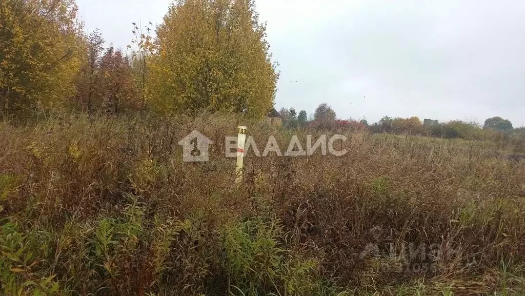 Участок в Владимирская область, Суздальский район, Боголюбовское ... - Фото 0