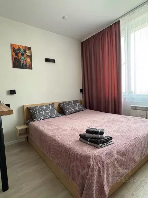 1-к кв. Новосибирская область, Новосибирск ул. Кирова, 113/2 (22.0 м) - Фото 0