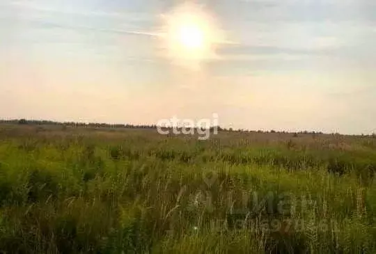 Участок в Липецкая область, Липецкий муниципальный округ, с. Подгорное ... - Фото 0