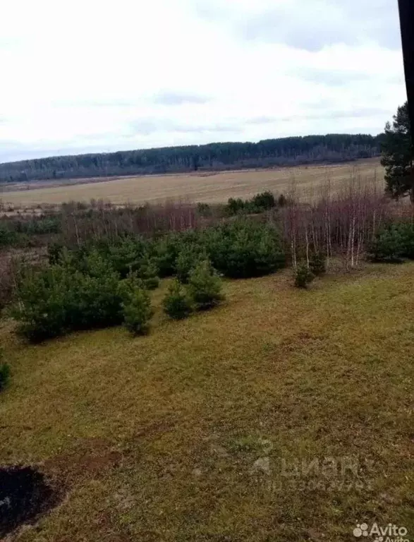 Дом в Тверская область, Зубцовский муниципальный округ  (55 м) - Фото 2