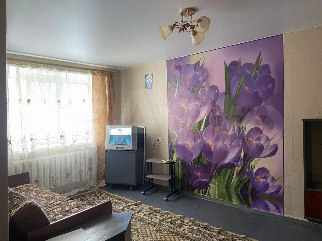 1-к. квартира, 30,3 м, 1/5 эт. - Фото 1