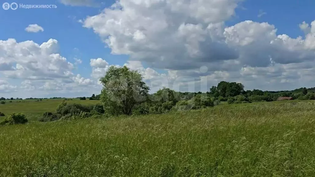 Участок в Калининградская область, Нестеров (278 м) - Фото 1