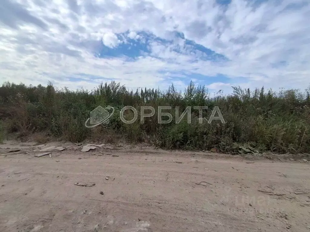 Участок в Тюменская область, Тюмень Центральная пл. (100.0 сот.) - Фото 2