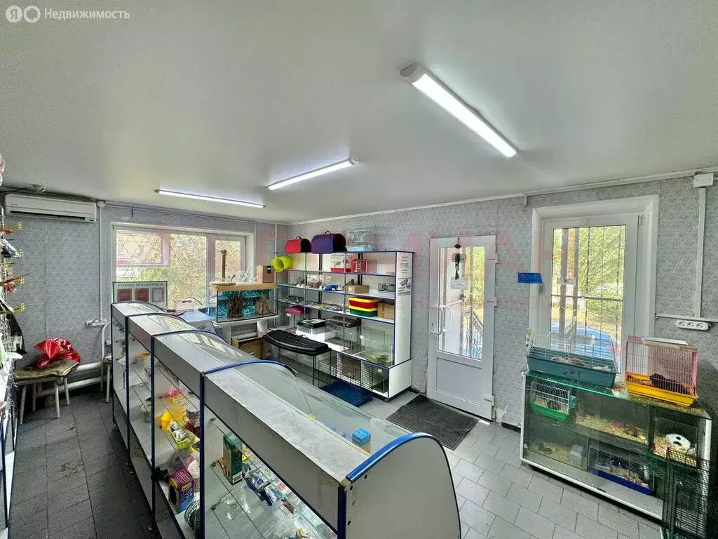 Помещение свободного назначения (43 м) - Фото 2