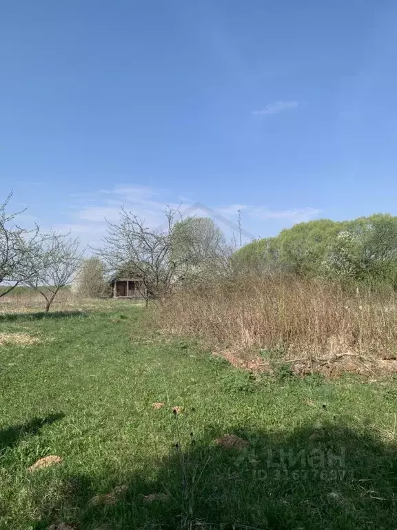 Участок в Калужская область, Перемышльский район, Ахлебинино с/пос, д. ... - Фото 2