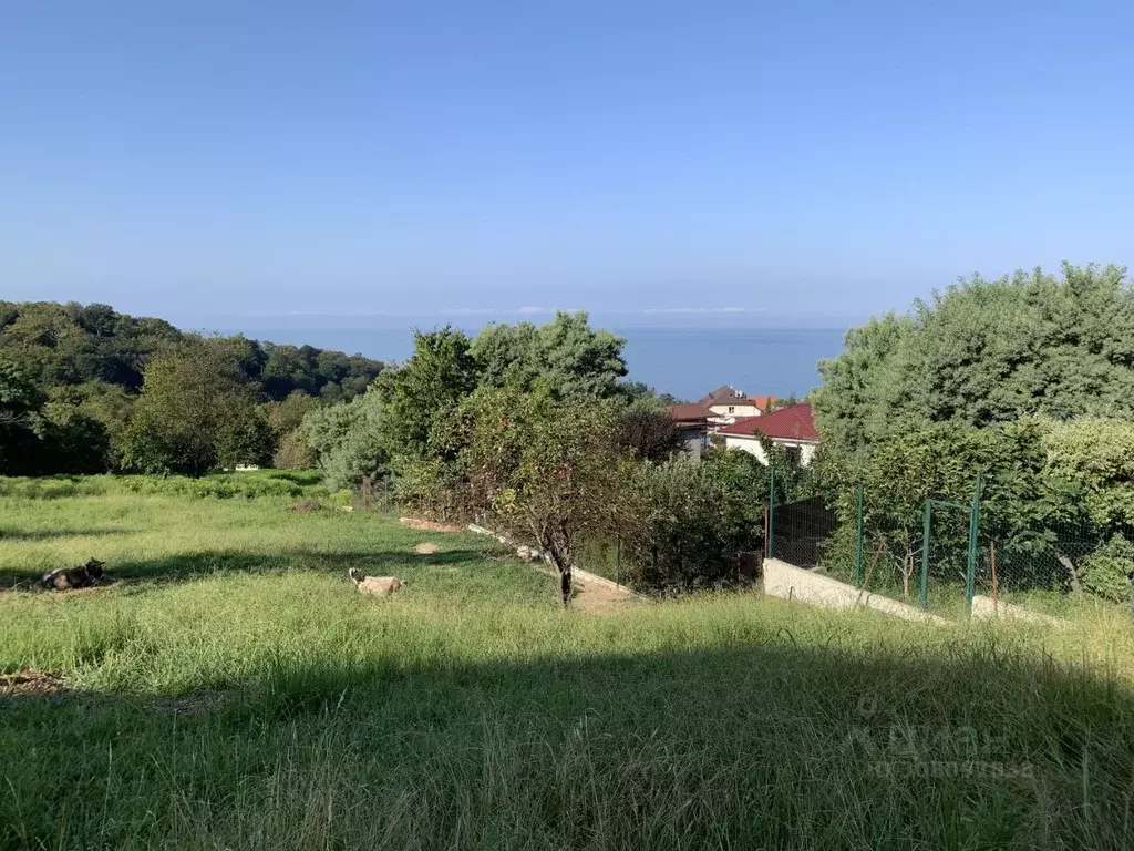 Участок в Краснодарский край, Сочи пос. Лоо, ул. Таллинская (175.0 ... - Фото 1