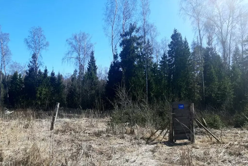 Участок в Московская область, Щелково городской округ, Заозерный СНТ ... - Фото 0