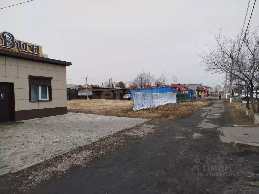 Участок в Амурская область, Октябрьский район, с. Екатеринославка ул. ... - Фото 0