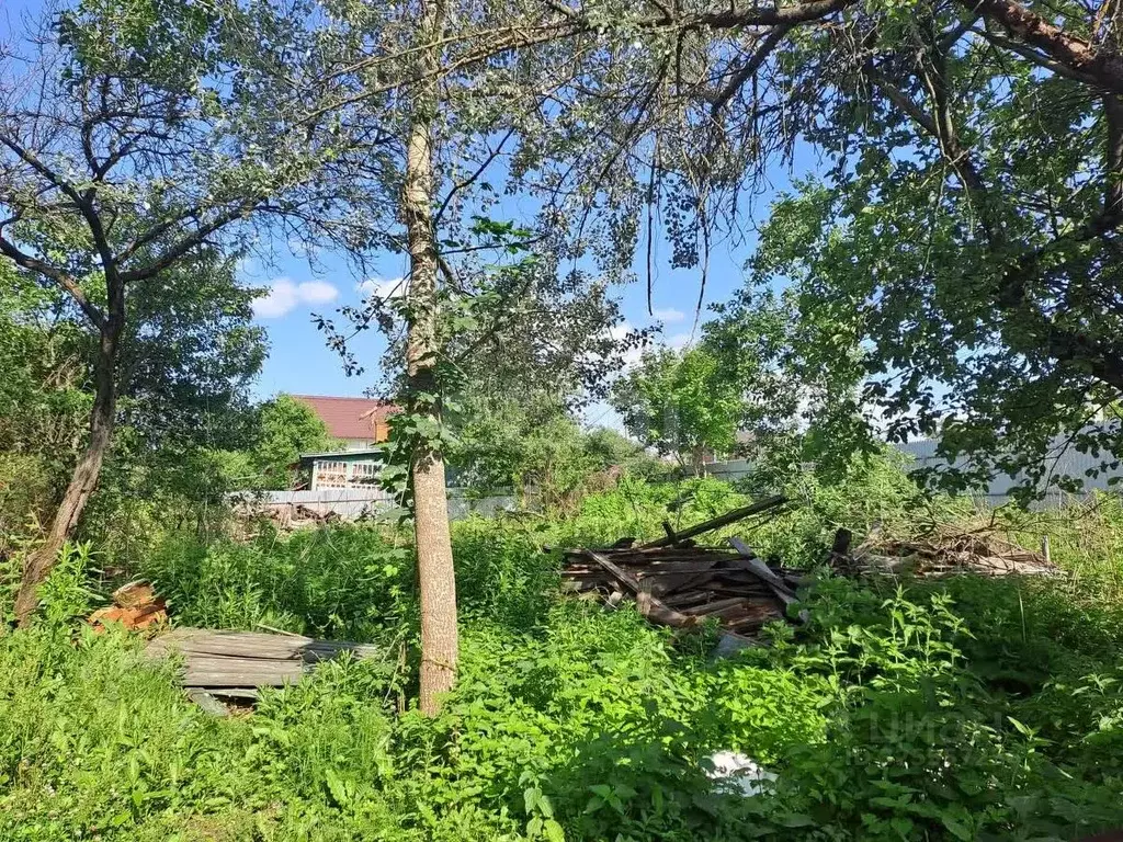 Участок в Москва д. Бачурино, уч11 (10.0 сот.) - Фото 1