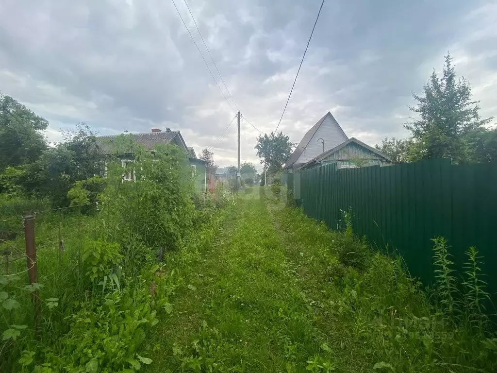 Участок в Брянская область, Брянск Дружба-2 садоводческое объединение, ... - Фото 2