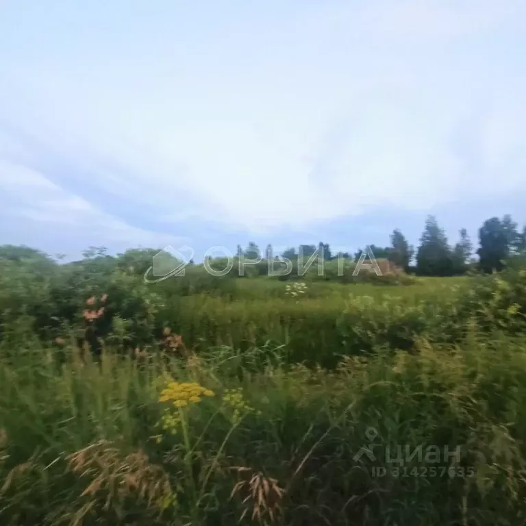 Участок в Тюменская область, Тюменский район, Собственников ... - Фото 2