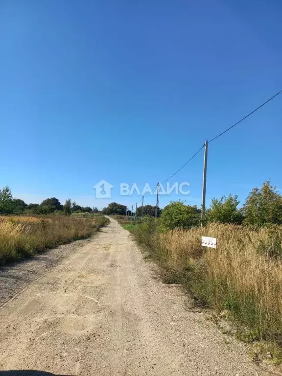 Участок в Калининградская область, Янтарный городской округ, пос. ... - Фото 0