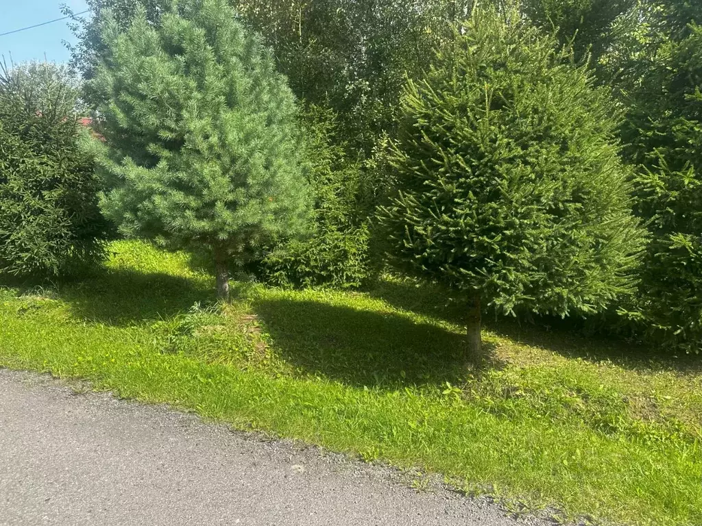 Участок в Московская область, Дмитровский муниципальный округ, д. ... - Фото 2