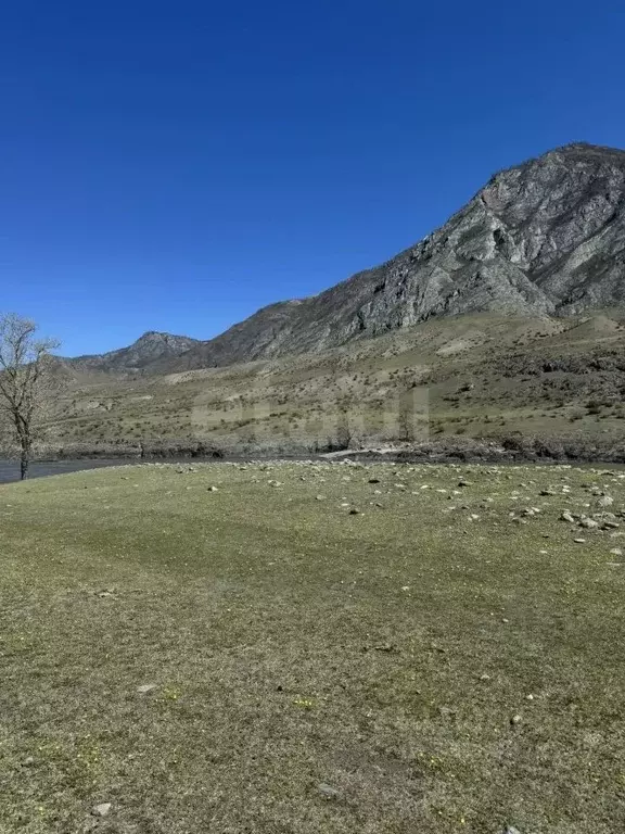 Участок в Алтай, Онгудайский район, с. Инегень Центральная ул., 15 ... - Фото 1