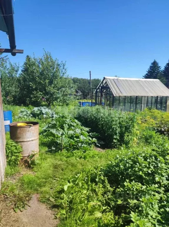 Участок в Томская область, Томский район, Восход СНТ  (6.0 сот.) - Фото 2