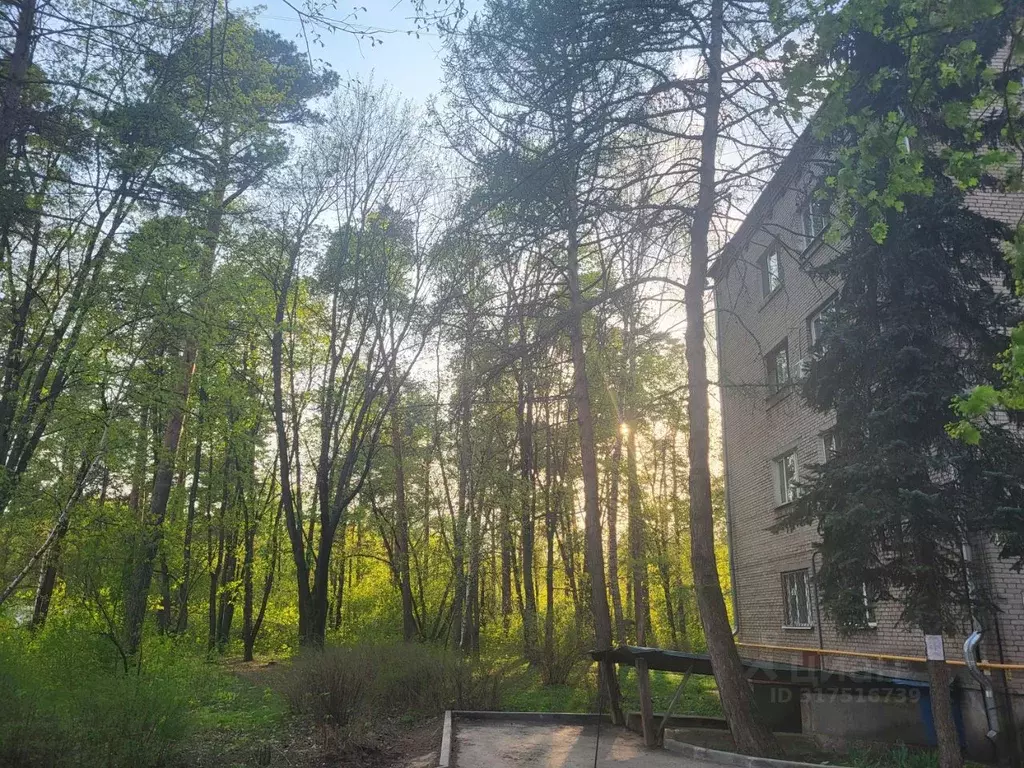 1-к кв. Московская область, Люберцы городской округ, Малаховка пгт ул. ... - Фото 0