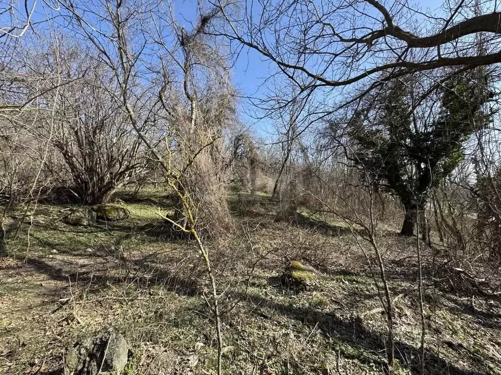 Участок в Крым, Алушта городской округ, с. Лучистое ул. Имени Ю. ... - Фото 1