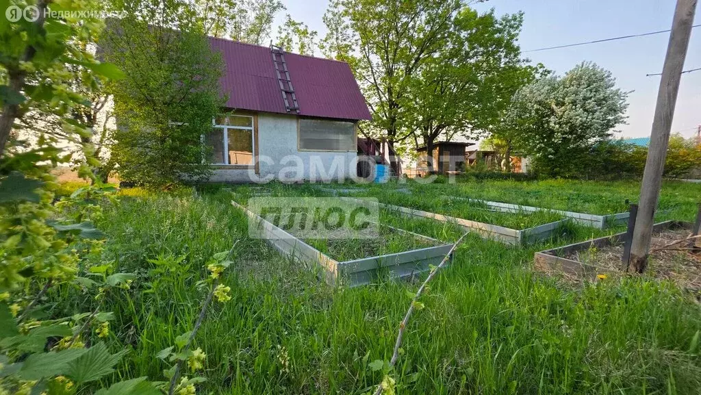 Дом в Хабаровский район, Тополевское сельское поселение, село ... - Фото 2