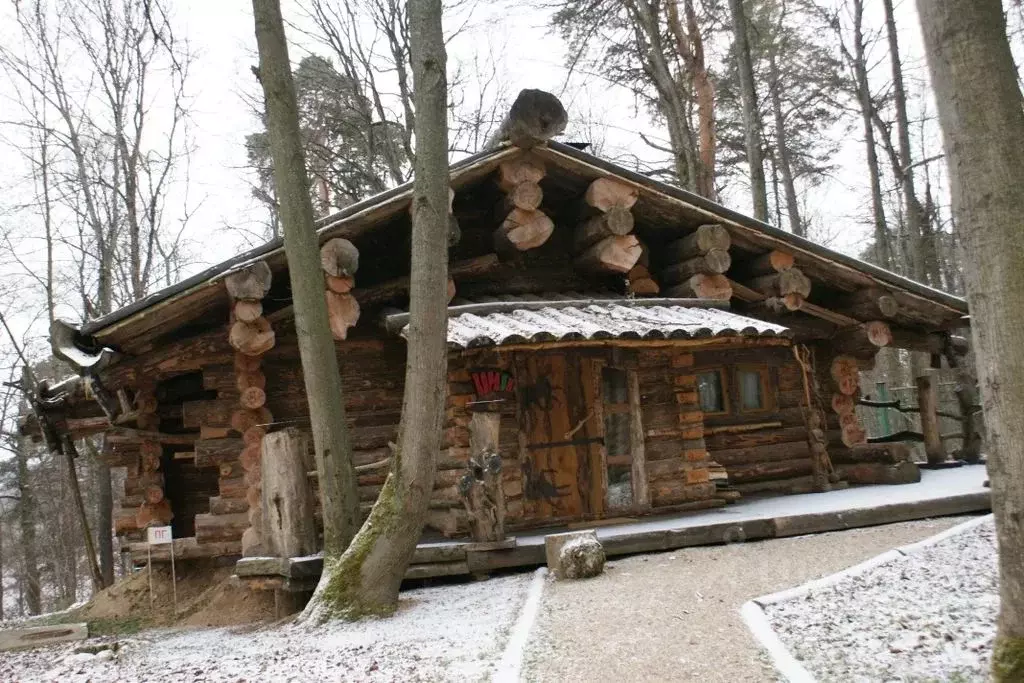 Дом в Московская область, Звенигород Одинцовский городской округ, ш. ... - Фото 1