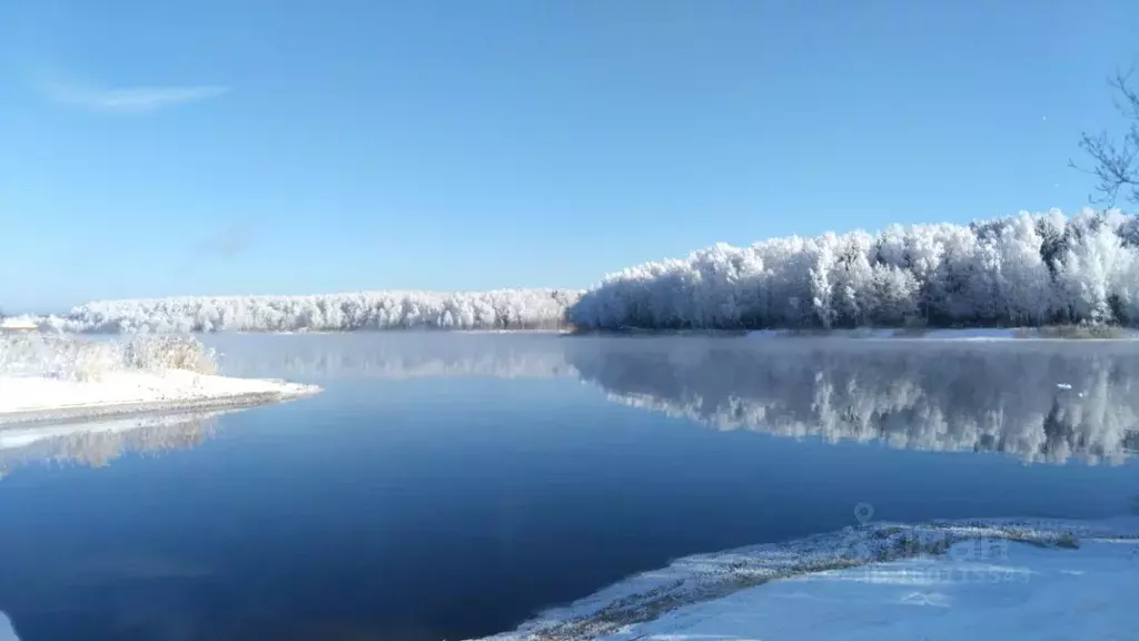 Участок в Тверская область, Конаковский муниципальный округ, Юность ... - Фото 2