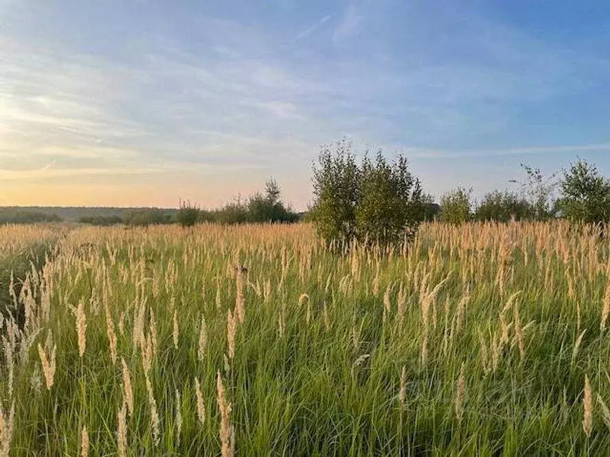 Участок в Московская область, Раменский муниципальный округ, д. ... - Фото 2