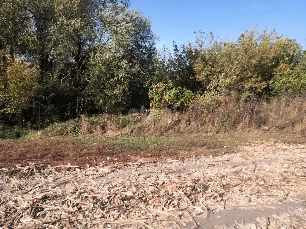 Участок В Медовке Воронеж Купить