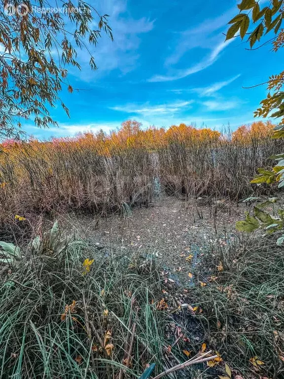 Участок в село Чардым, Лесная улица (79 м) - Фото 1