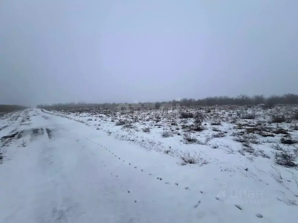 Участок в Крым, Кировский район, Абрикосовское с/пос, с. Бабенково ул. ... - Фото 1