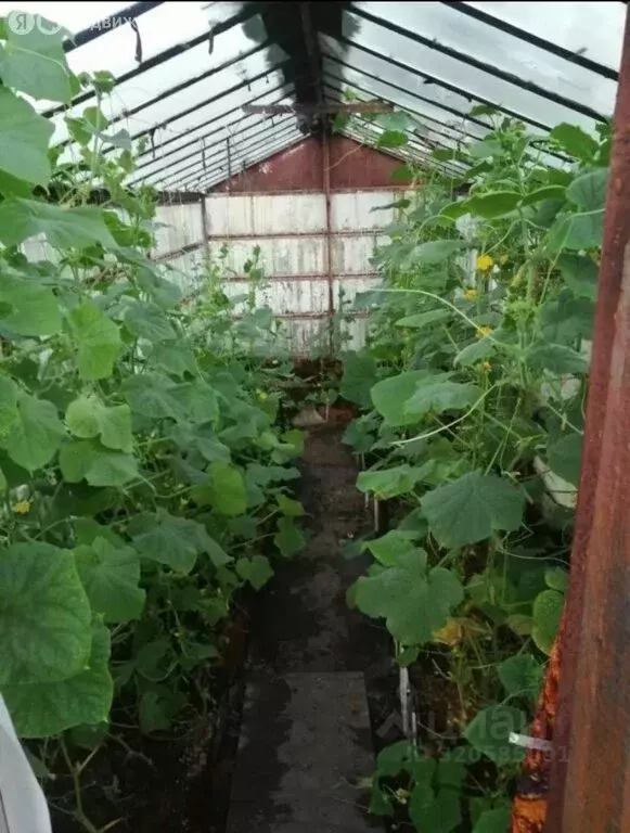 Участок в Чебаркуль, СНТ Швейник (6 м) - Фото 2