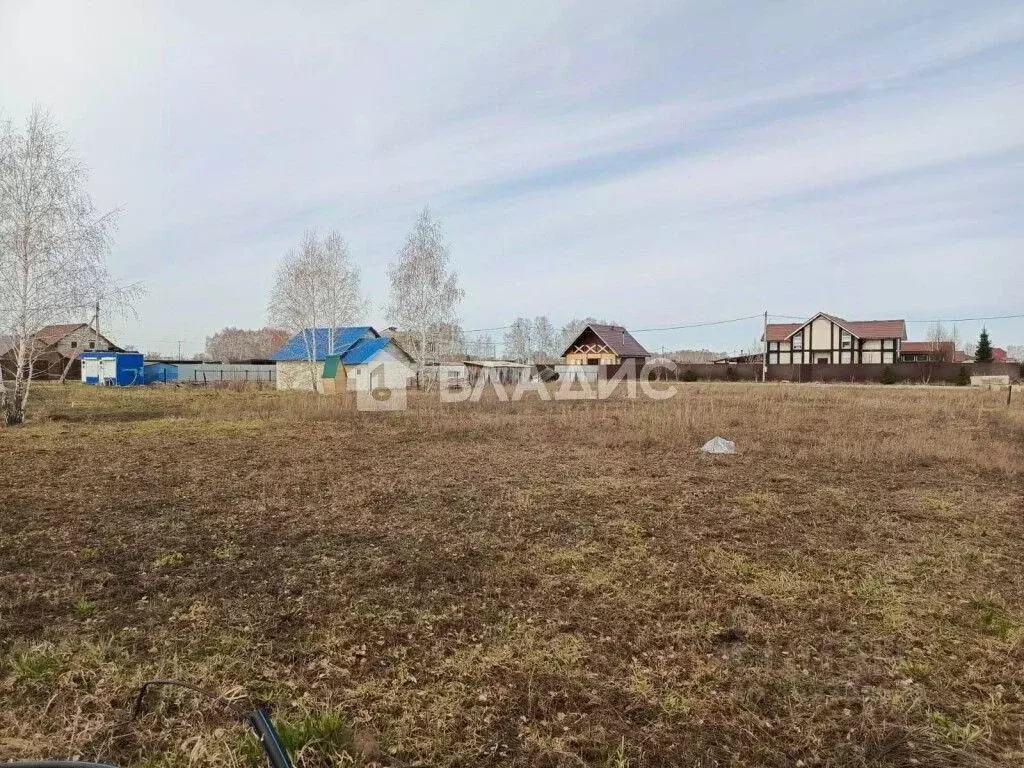 Участок в Новосибирская область, Новосибирский район, Ярковский ... - Фото 0