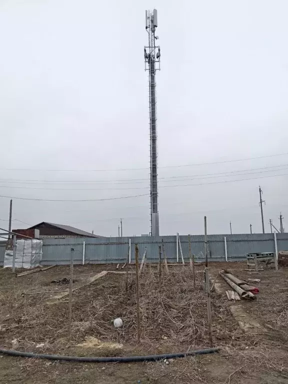 Участок в Волгоградская область, Городищенский район, Самофаловское ... - Фото 0