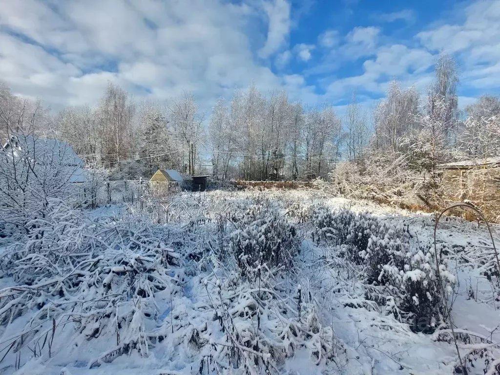Участок в Московская область, Богородский городской округ, Сплав СНТ ... - Фото 0