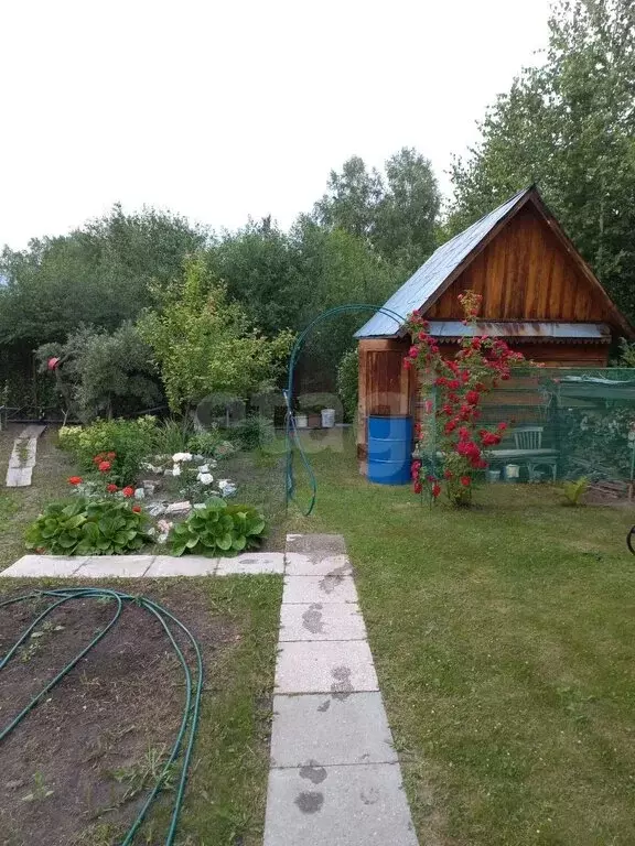 Участок в Тюменский район, садовое общество Птицевод (4.78 м) - Фото 1