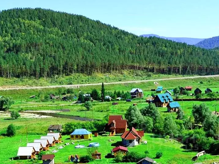 Участок в Алтайский край, Алтайский район, с. Нижнекаянча  (200.0 ... - Фото 1